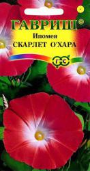 Ипомея Скарлет ОХара (Гавриш)