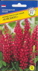 Люпин Пейджес многолетний (Престиж)
