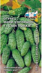 Огурец Сын полка F1 (СеДеК)