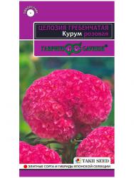 Целозия Курум розовая (Гавриш)