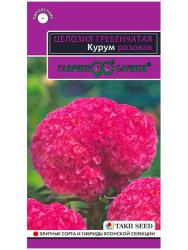 Целозия Курум розовая (Гавриш)