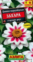 Цинния Захара старлайт роуз (Аэлита)