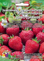 Земляника Диво дивное (Уральский дачник) семена