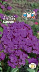 Гвоздика турецкая Таисия фиолетово-пурпурная двулетняя (СеДеК)