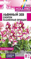 Львиный зев Снэппи Пламенная орхидея (Семена Алтая)