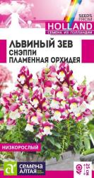 Львиный зев Снэппи Пламенная орхидея (Семена Алтая)