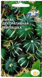 Тыква декоративная Милашка (СеДеК)