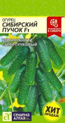 Огурец Сибирский пучок F1 (Семена Алтая)