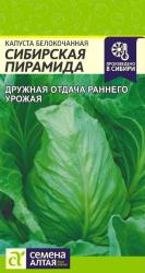 Капуста Сибирская пирамида (Семена Алтая)