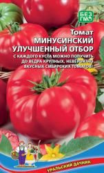 Томат Минусинский улучшенный отбор (Уральский дачник)