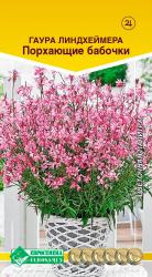 Гаура Линдхеймера Порхающие бабочки (Евросемена)