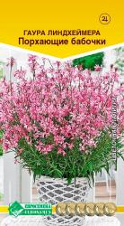 Гаура Линдхеймера Порхающие бабочки (Евросемена)