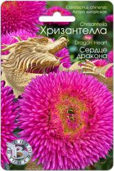 Астра Хризантелла сердце дракона (Биотехника)