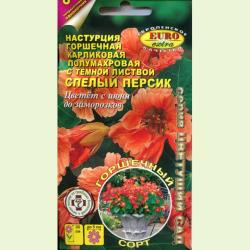 Настурция Спелый персик (Аэлита)