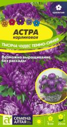 Астра Тысяча чудес темно-синяя (Семена Алтая)