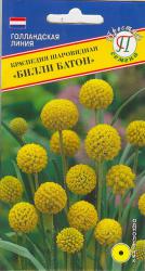 Краспедия шаровидная Билли Батон (Престиж)