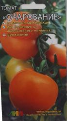 Томат Очарование (Мязина)