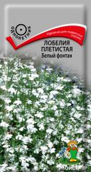 Лобелия плетистая Белый фонтан (Поиск)