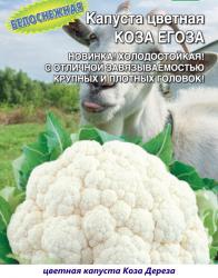 Капуста цветная Коза-егоза (Уральский дачник)
