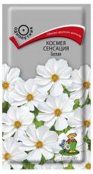 Космея Сенсация белая (Поиск)
