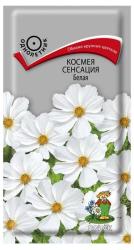 Космея Сенсация белая (Поиск)