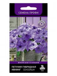 Петуния Ивнинг сенсейшн F1 (Поиск)