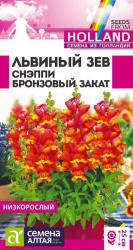 Львиный зев Снэппи Бронзовый закат (Семена Алтая)