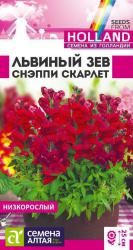 Львиный зев Снэппи Скарлет (Семена Алтая)