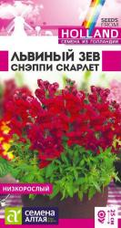 Львиный зев Снэппи Скарлет (Семена Алтая)