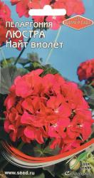 Пеларгония зональная Люстра найт виолет (Сортсемовощ)