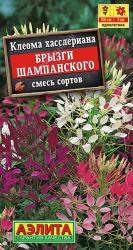Клеома Брызги шампанского, смесь (Аэлита)