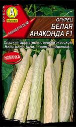 Огурец Белая анаконда (Аэлита)