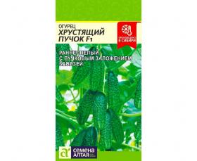 Огурец Хрустящий пучок (Семена Алтая)