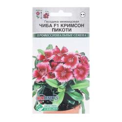 Гвоздика межвидовая Чиба кримсон пикоти (Евро семена)