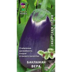 Баклажан Вера (Поиск)