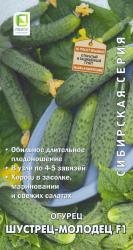 Огурец Шустрец молодец (Поиск)