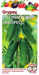 Огурец Сибирский экспресс F1 (Гавриш)