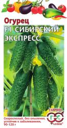 Огурец Сибирский экспресс F1 (Гавриш)
