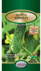 Огурец Артист F1 (Поиск)