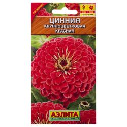 Цинния Крупноцветковая красная (Аэлита)