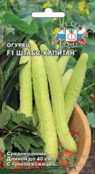 Огурец Штабс-капитан F1 (Седек)