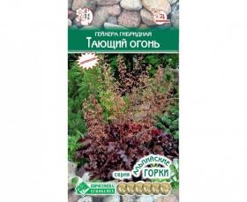 Гейхера Тающий огонь (Евро семена)