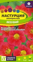 Настурция Везувий (Семена Алтая)