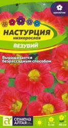 Настурция Везувий (Семена Алтая)