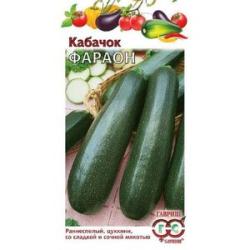 Кабачок Фараон (Гавриш)
