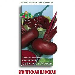 Свекла Египетская плоская (Поиск)