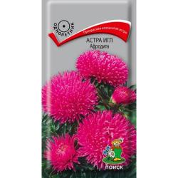 Астра игл Афродита (Поиск)