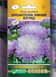 Астра Хризантелла зимний взгляд (Евросемена)
