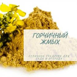 Жмых горчичный 1 кг 