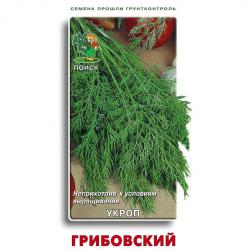 Укроп Грибовский (Поиск)